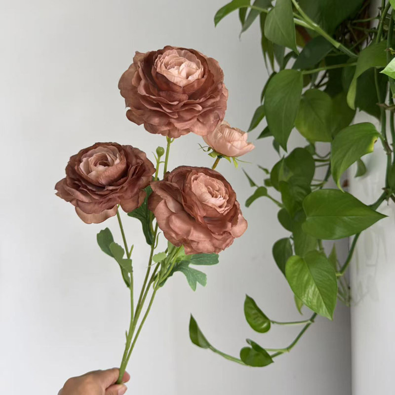 4 pivoines