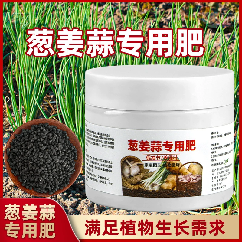 Лук, имбирь, чеснок, специальное удобрение