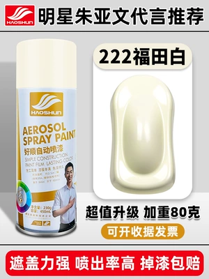Haoshun Automatic Hand-cranked Self-painting: Avtomobil boya qələmləri - 222-futian-white