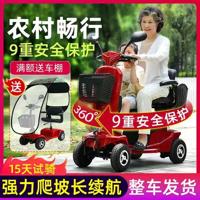 Qatlanan elektrik velosipedlər, Electric Vehicle for Disabled People