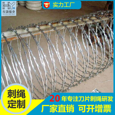 Foshan Stainless steel blade Barbed Wire Wall Galvanized Wire Barbed Wire Isolation Network invisible Practice nets Barbed Wire wholesale