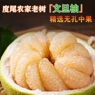 正宗福建度尾红心柚子文旦柚新鲜当季现摘（支持一件代发）