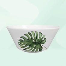 �����մɷ���Gɫֲ��ϵ�������ɳ������ÏN��С���²;߹Ǵ�