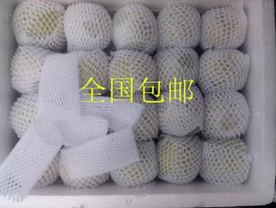 Large Packaging Fruit Net Cover for Peaches, Apples, Loquats, Pears, Kiwis, Broccoli, Foam Oranges