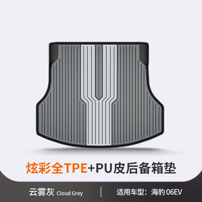 05 06 Seal Seagull Dolphin Han: Trunk Mat - seal-06ev-cloud-gray-vehicle-specific