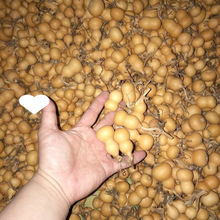 ���J��ȻС���J�]��覴��������Π��������]�п��Ԕ[��Ұ�������F