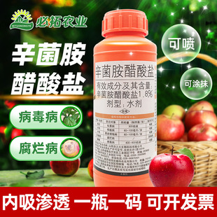 ���������������}�O���丯�����rș�����������������������}���}