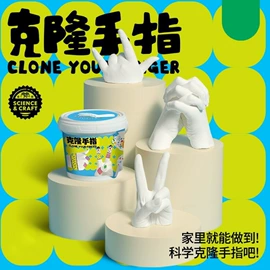 电子宠物;风筝;电动公仔