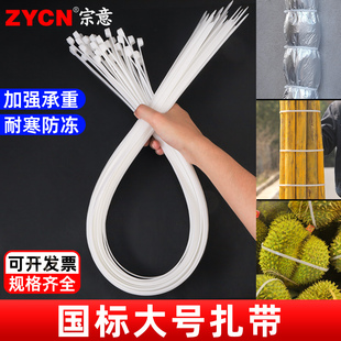✅Large Long Tie GB Self-locking Nylon Tie Sound Insulation Cotton Plastic Strangle Dog High Strength Tie Tie Bale