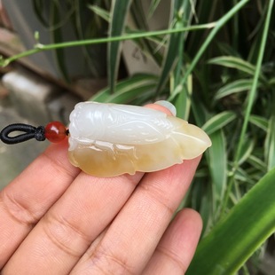 ��Ȼ ������ ���� ź�� һҹ���� һ�Q�@��  ���s ���s ֪�� ���