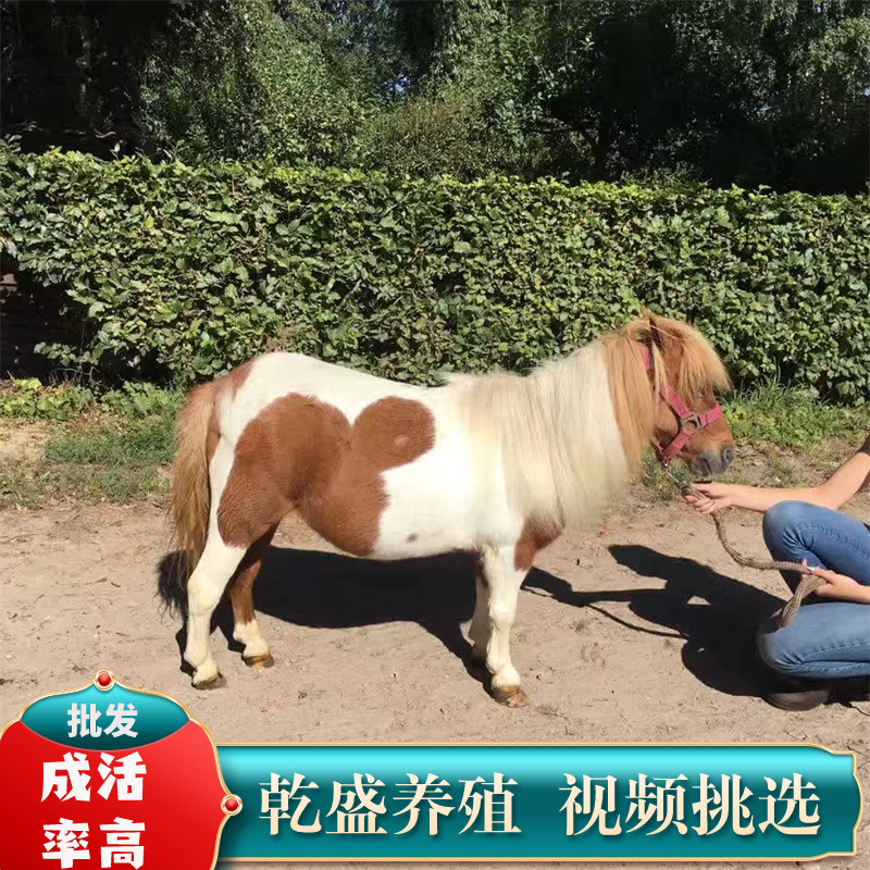 lQDPJxMXeRTrRrnNA8DNBQCwH0<i></i>Xe_k