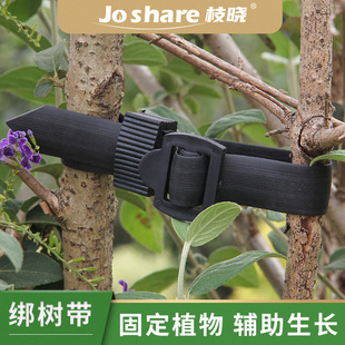 枝晓 园艺绑树带 捆绑加固绑树带爬藤支撑架伸缩固定植物辅助生长-阿里巴巴