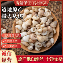 Ұɽ���ݽz500�˰��]��؛����·�� ���ݚ� ��·�� ���ݽz����؛��