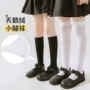 薄款春秋女童女孩袜子