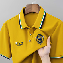���_��ʿPOLO���ļ�ײɫ�l�y���I�ʹڴ̽��̄����e�ٴ����T����
