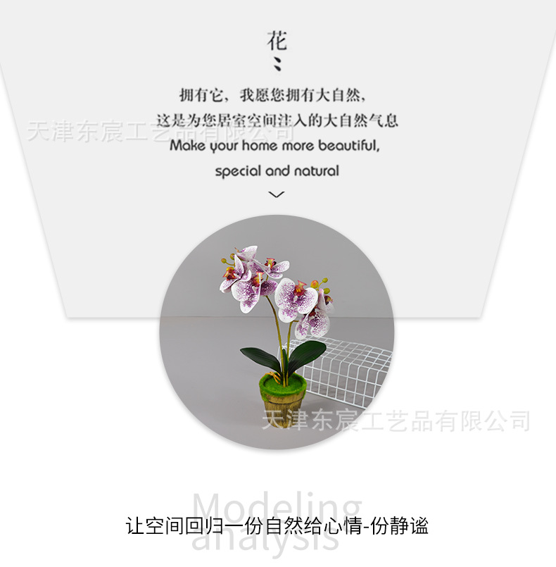 详情_04.png