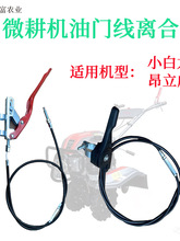 �ؑcС����������΢���C�x�Ͼ����T�����_�P����ԭ�Sͨ�����