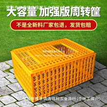 鸡笼塑料周转箱成鸡鸭鹅运输筐加厚大码鸡笼鸡鸭鹅鸽笼周转运输笼