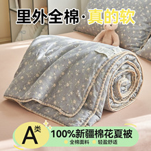 100%ȫ���p�Ӽ��޻��ı�ؐ��߅�ě����W�����ἃ�޿��{���μ����l
