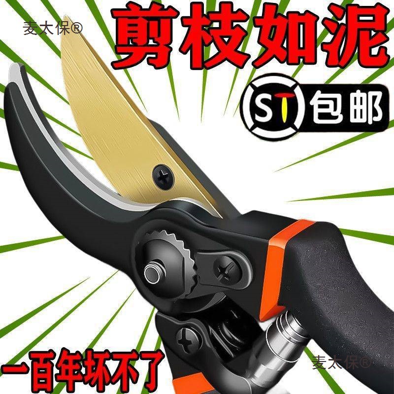 德国进口SK5强力园艺剪不锈钢省力修剪枝果树粗枝树枝专用麦太保
