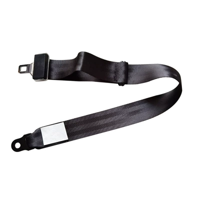 Car seat belt Alarm Line Two-Point Safety Belt