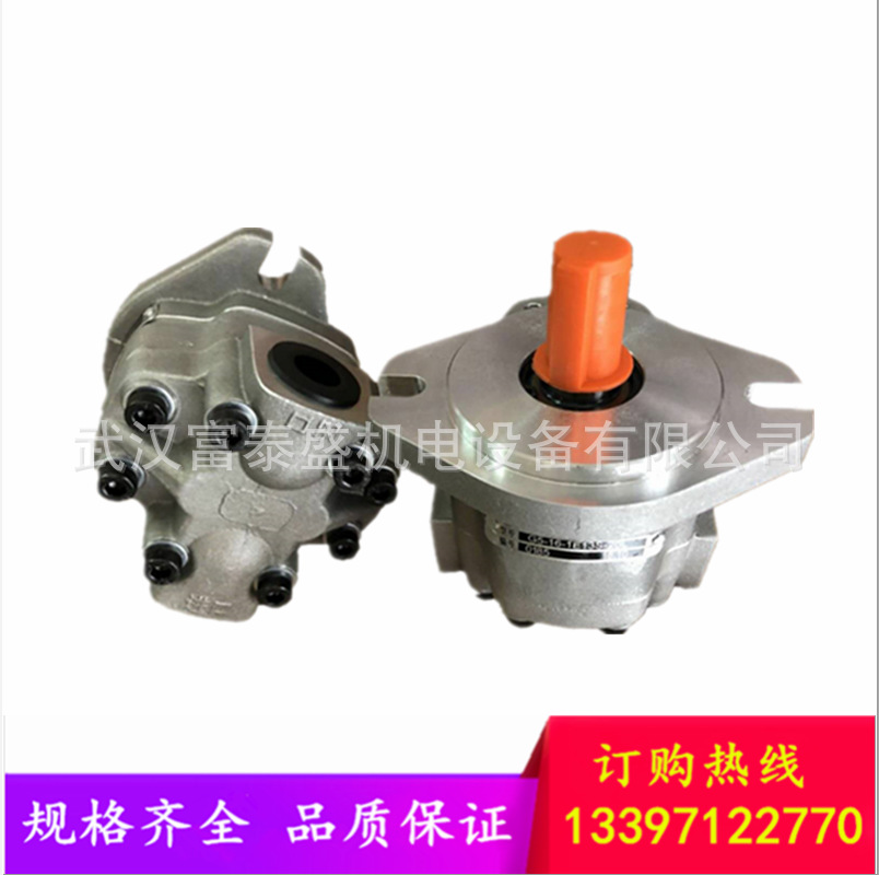 液压齿轮泵G5-5-1H15R-20R液压油泵 G5-6-1H15R-20R G5-8-1H15R-R