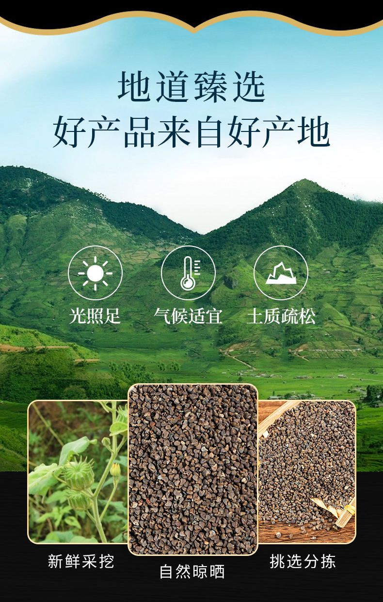 Dong Kui Zi (Malva verticillata) — Dried Chinese Mallow Seeds, Food Herb 500g overview