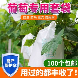 [葡萄套袋袋防虫葡萄套育袋葡纸袋葡萄袋果袋袋子防水萄的]