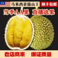Hộp quà tặng sâm đất Musang King đông lạnh bằng nitơ lỏng - Ưu đãi đặt trước cho mùa Trung Thu 1688