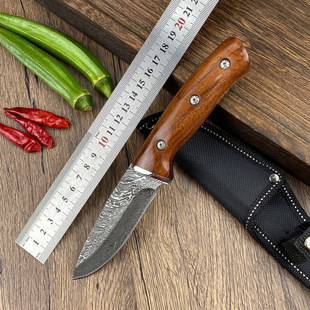 Hand-held meat knife eating meat knife stainless steel fruit knife buck corrosion grain knife carry-on sour branch wood outdoor knife