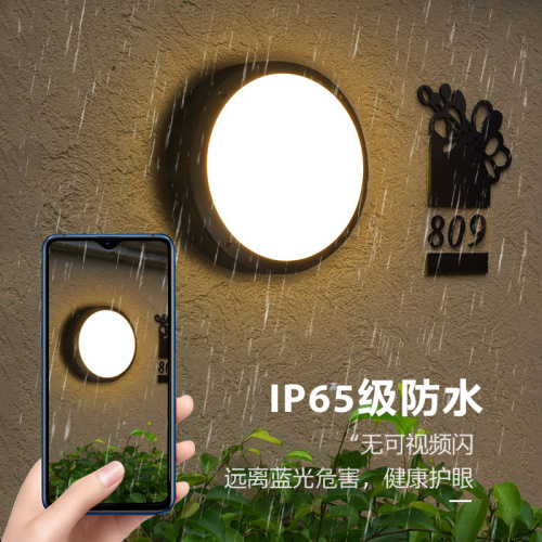 Die-cast aluminum tri-proof ceiling lamp outdoor IP65 tri-proof light 20W30W gate courtyard round LED moisture-proof wall light