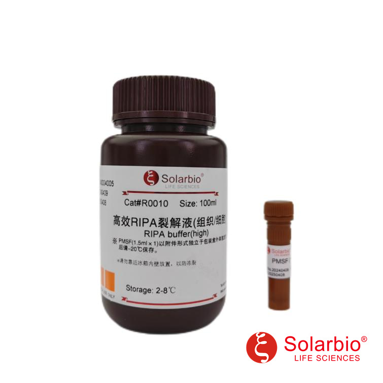 R0010 高效RIPA裂解液 组织/细胞  不含磷酸酶抑制 配PMSF附件