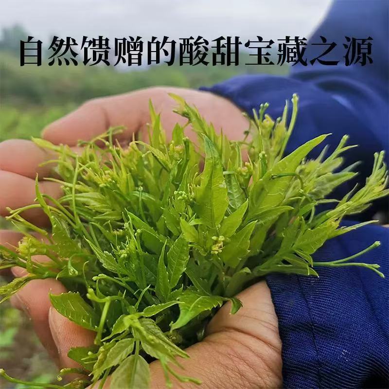 Mei Tea Mei Cha Vine Tea Loose Herbal Tea 20g Canister Traditional Wellness Brew quality and texture