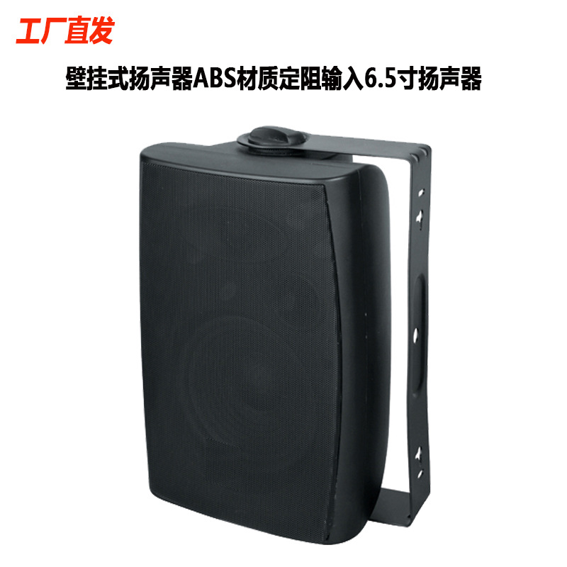 Ventas directas de fábrica IP-6 solo 6 pulgadas de dos frecuencias té restaurante cafetería salón de belleza supermercado centro comercial colgante de pared Audio