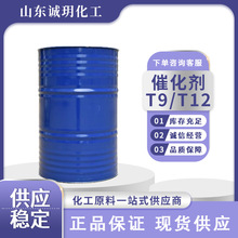 �ЙC�a�߻���T9/T12���I���߸Ʉ��۰����T����ī�߻���T9/T12