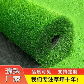 跑道草坪