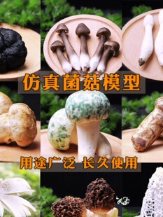 ���Ұ��Ģ������ģ�����^�u����Ǿ�ţ�ξ�������¶��