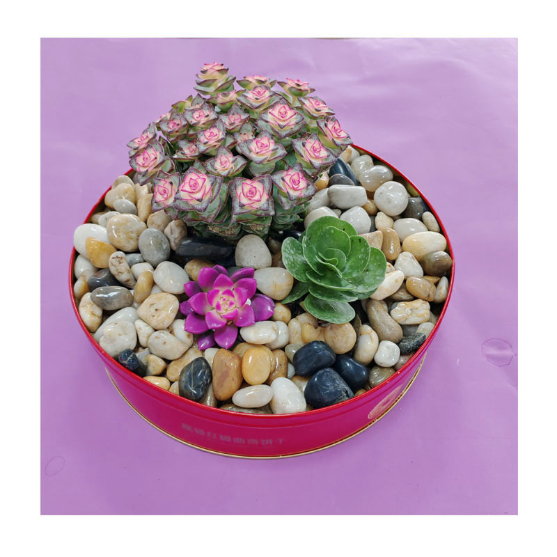 ˮ�����ɳ�쾰ר�� ��Ȼ��ɫ����ʯϪ��ɰ ����ɰ��׾���ʯ