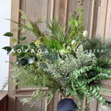 �Gɫ����ֲ��ɭϵ�݅��b[�� ާ�Y�b�ֲ���쾰 �Ӱ��g��ˇ