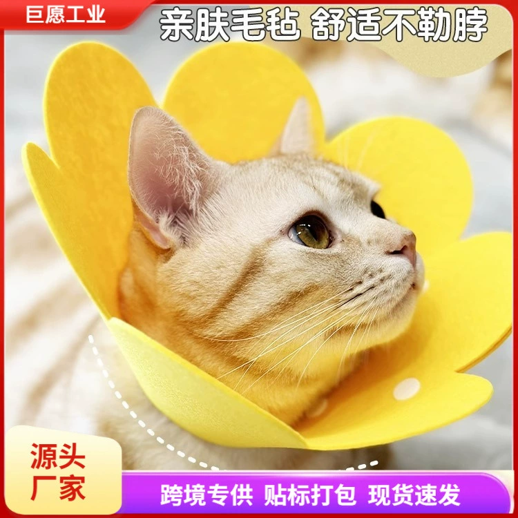 Elizabeth Circle Кошка ошейник стерилизация Elizabeth Circle