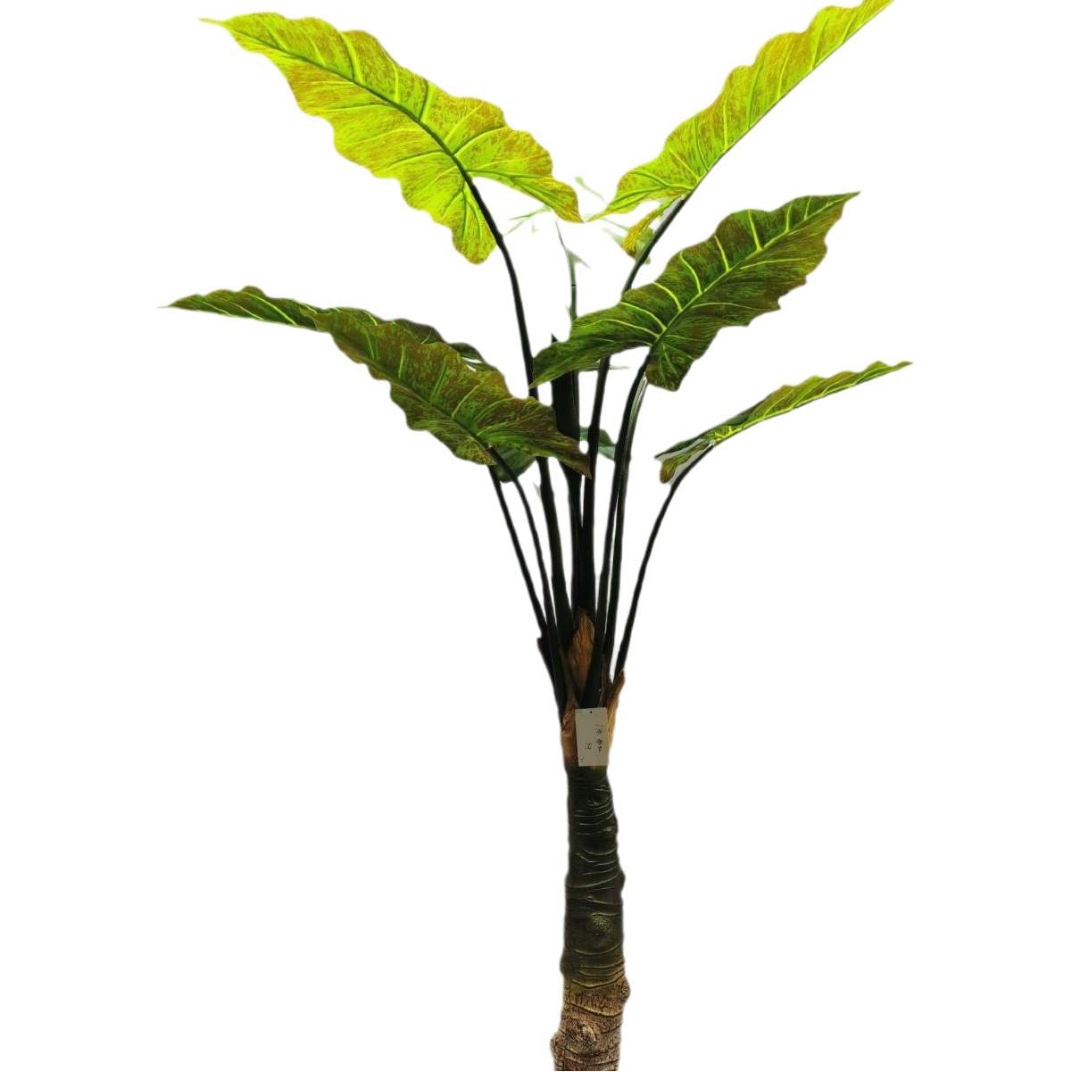 Descuento personalizado planta verde artificial flor artificial tortuga árbol trasero roble árbol de hierro viaje hoja de plátano Banyan phoenix cola bambú phoenix cola girasol