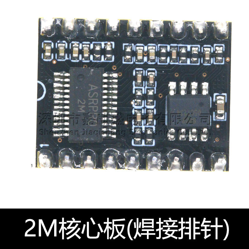 ASR-PRO 音声インテリジェント音声認識制御モジュール AI オフライン認識開発ボード カスタム項目|undefined