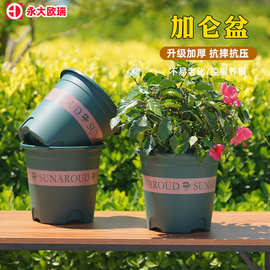 现货批发塑料花盆绿植多肉家用室外基地用盆控根印花树脂加仑盆