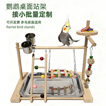 鹦鹉游乐场牡丹玄凤站架秋千啃咬串脚链实木鸟架鸟类站立家养玩具