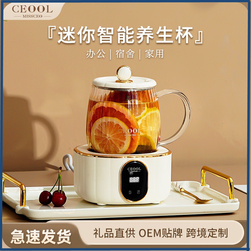 Electric Stew Cup, Multifunctional Health Cup, Small Mini Electric Tea Maker, Heated Office Thermostatic Health Pot for One Person