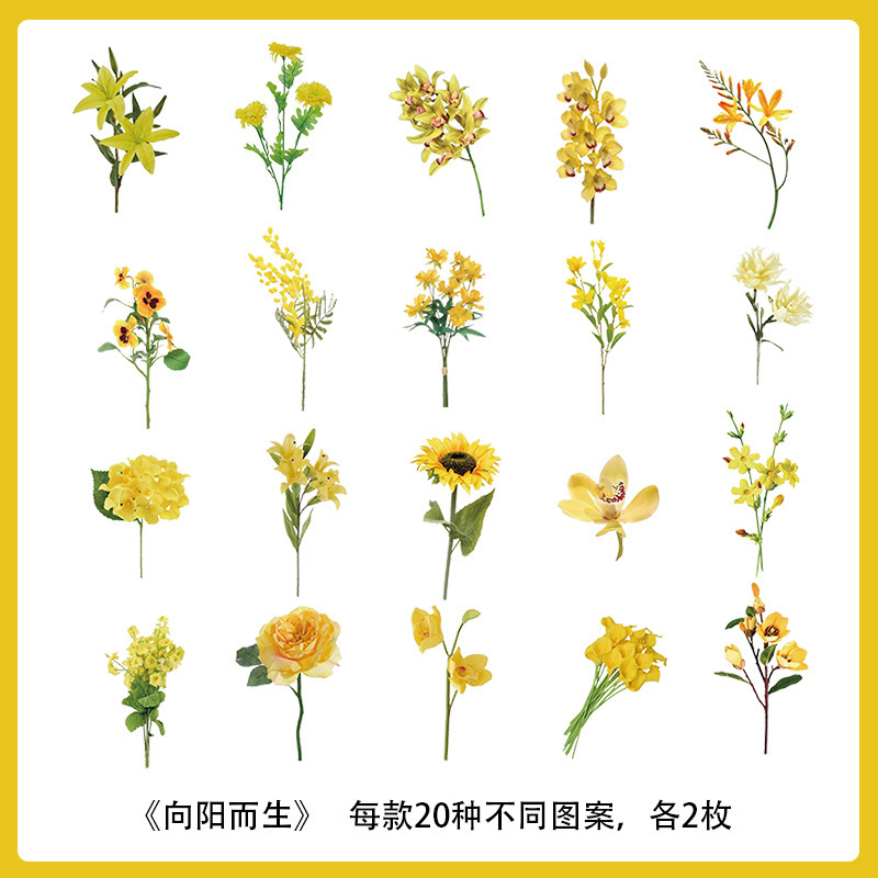 Plantas y flores materiales pegatinas artísticas decoración collage chica Goku tarjeta taza de agua caja de teléfono móvil diy personalizado