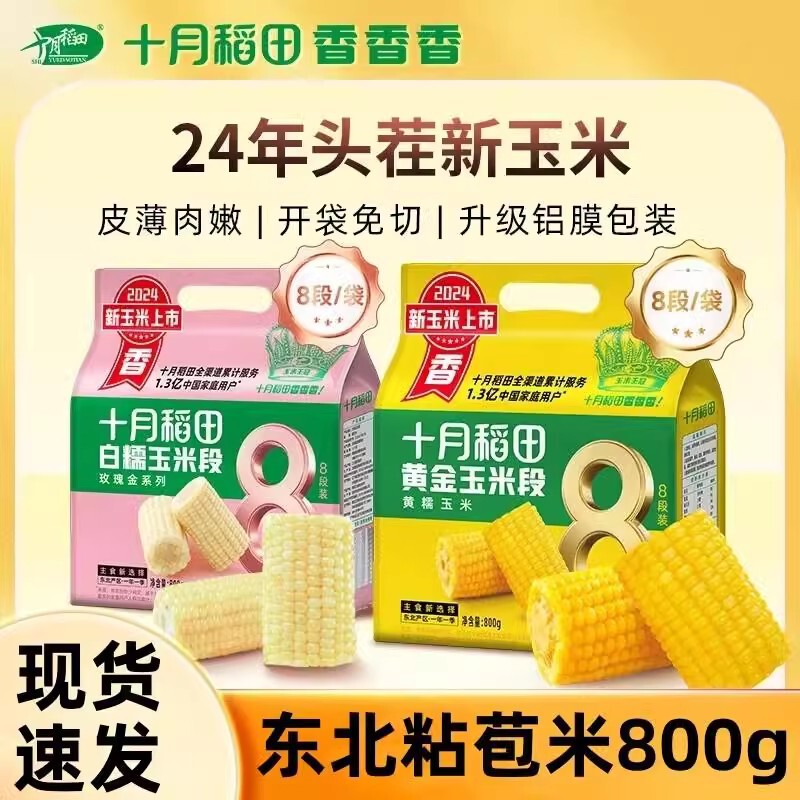 October Rice Field Coarse Grain Light Food Yellow Glutinous White Glutinous Black Glutinous Corn on the Cob Sweet and Glutinous Northeast Sticky Corn Breakfast Ingredients October Rice Field Coarse Grain Light Food Yellow Glutinous White Glutinous Black Glutinous Corn on the Cob Sweet and Glutinous Northeast Sticky Corn Breakfast Ingredients