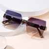 Fashionable sunglasses, trend glasses, 2023 collection, internet celebrity