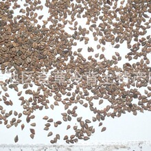 ���w��,�����w,����s�Z���w��,��؛���l���w��