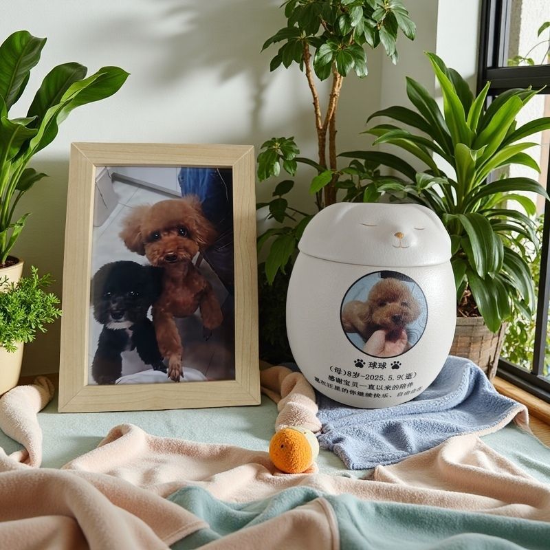 개/인쇄-대형 + 6inch 사진 + 액자